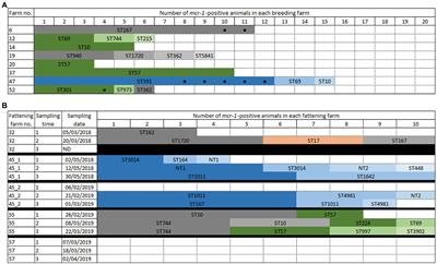 Spread of the mcr-1 colistin-resistance gene in Escherichia coli through plasmid transmission and chromosomal transposition in French goats